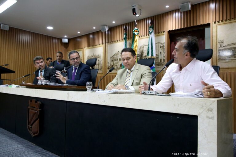 Comissão de Planejamento Urbano aprova PL sobre padronização das feiras livres