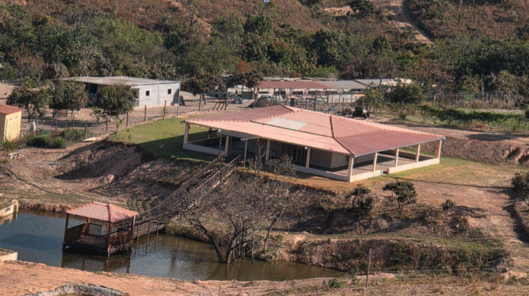 Fazenda Antinha de Baixo: disputa judicial, loteamentos ilegais e uso político acirram conflito em Santo Antônio do Descoberto