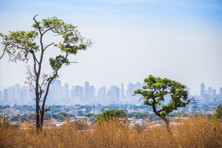 Frente fria derruba temperaturas no Sul; Goiás segue com tempo seco e calor intenso