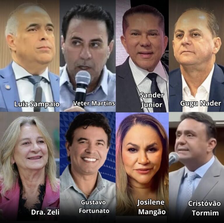 Partidos em Goiás iniciam formatação das chapas para deputado estadual em 2026