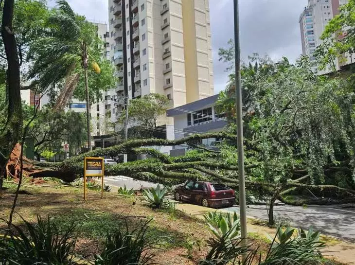 Temporal causa apagão generalizado e prejudica serviços na Grande São Paulo