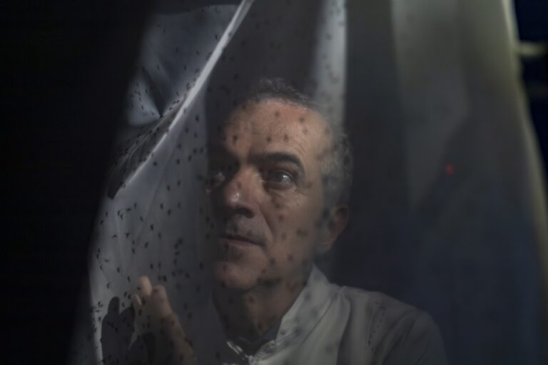 Brasileiro que desenvolveu mosquitos que combatem dengue é reconhecido entre os cientistas mais influentes de 2025