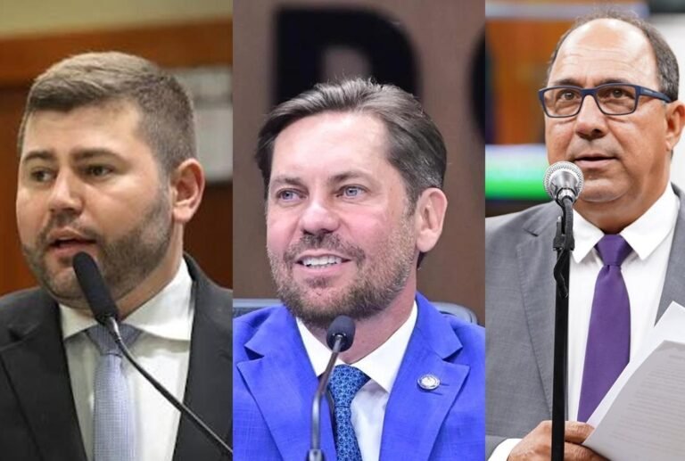 Obras, recursos e investimentos: os deputados que mais entregaram ao Norte de Goiás