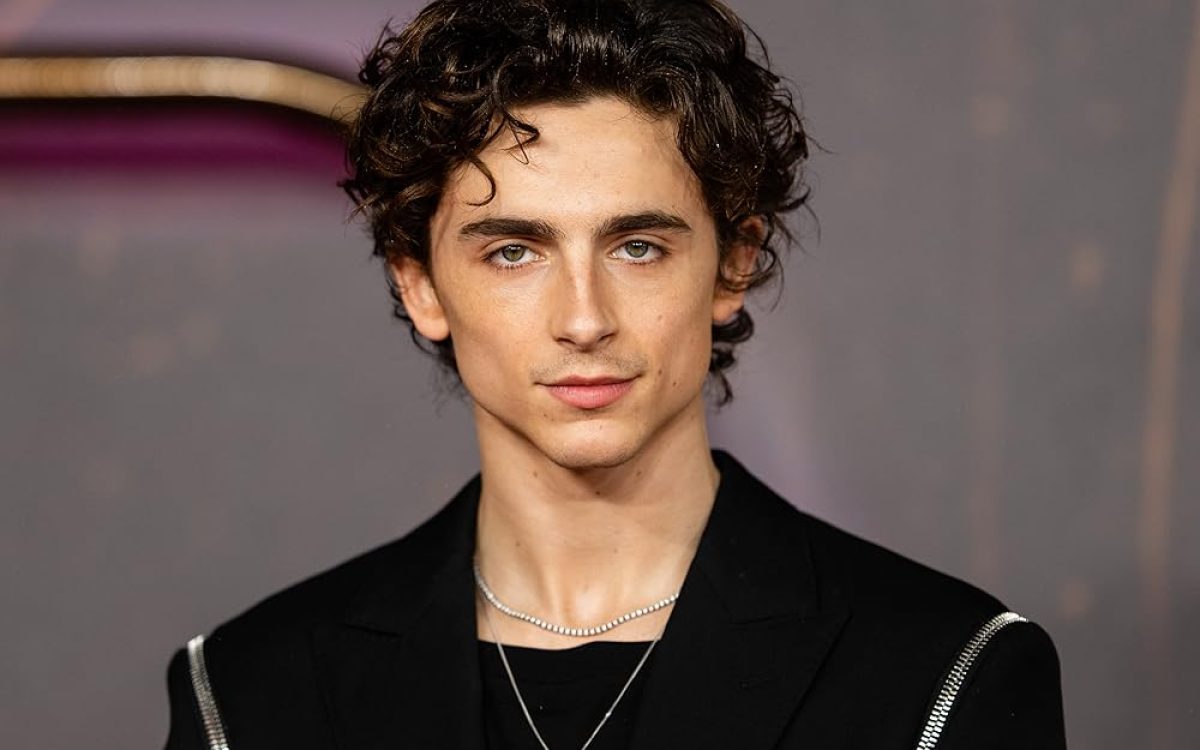 Declaração de Timothée Chalamet sobre ópera e balé provoca reação no meio artístico