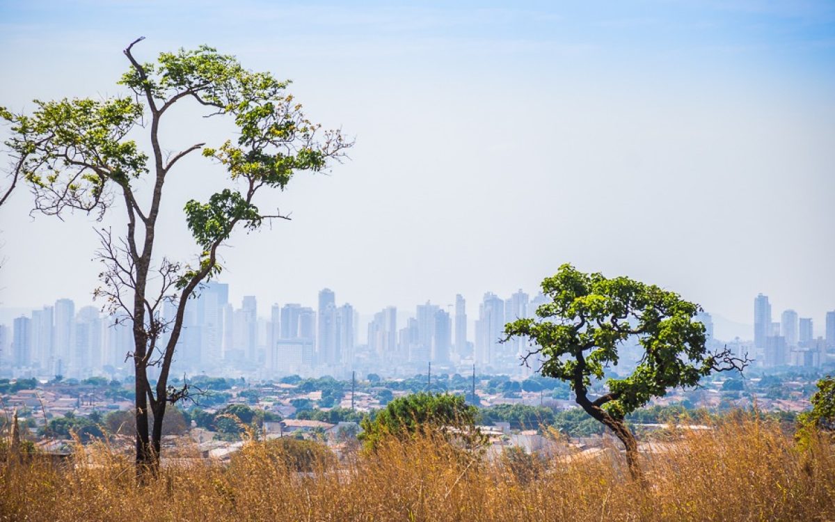 Frente fria derruba temperaturas no Sul; Goiás segue com tempo seco e calor intenso